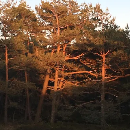 Lägenhet Marynarska Rowy (Pomerania)